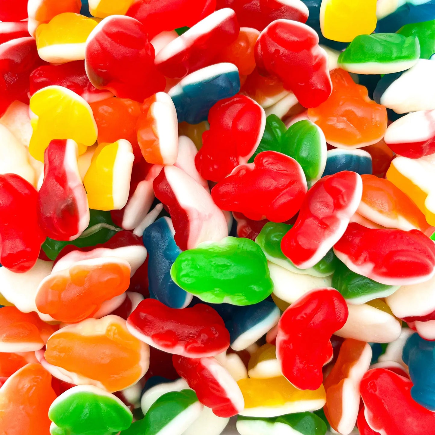 Grenouilles colorées (500g)
