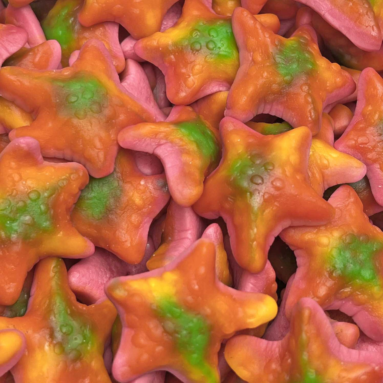 Étoile de mer (500g)